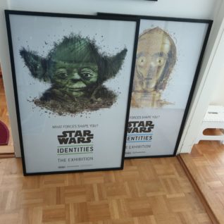 Tableaux Star Wars Identities Collector 2015